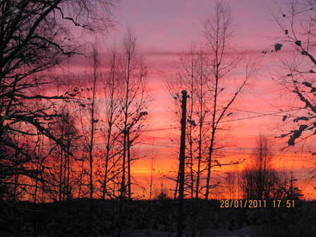 auringonlasku_olohuoneen_ikkunasta_ksin_29.1.2011_028.jpg